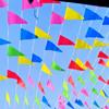 10Pcs Flag String Colorful Banner Decoration Hanging Pennant Decor 50M Length for Outoor