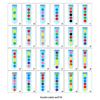 Children Clip Beads Test Tube Toy Logic Concentration Wooden Motor Training Game Montessori Teaching Tool Educational for Kids