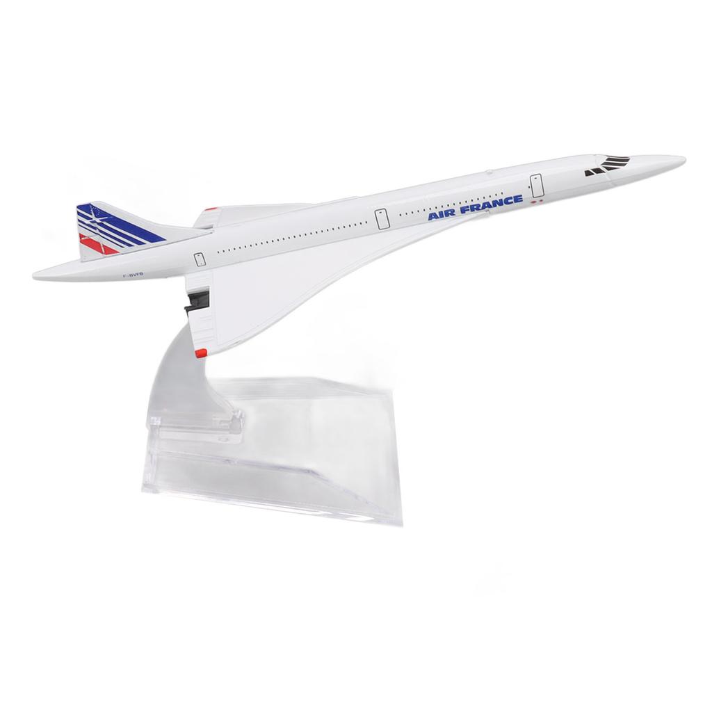 Airplane Model Toy High Simulation Long Lasting Collection Die Cast Alloy Aircraft Model 6.1in Length