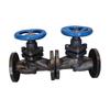 Flange Plunger Valve