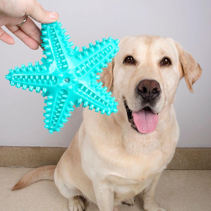 

Pet Supplies Dog Bite-Resistant Molar Teeth Cleaning Toys Starfish Sound Relieving Stuffy Cleaning Teeth Molar Rod Toys Blue Dentifrice Starfish