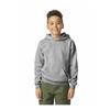 Gildan Childrens/Kids Fleece Midweight Classic Hoodie