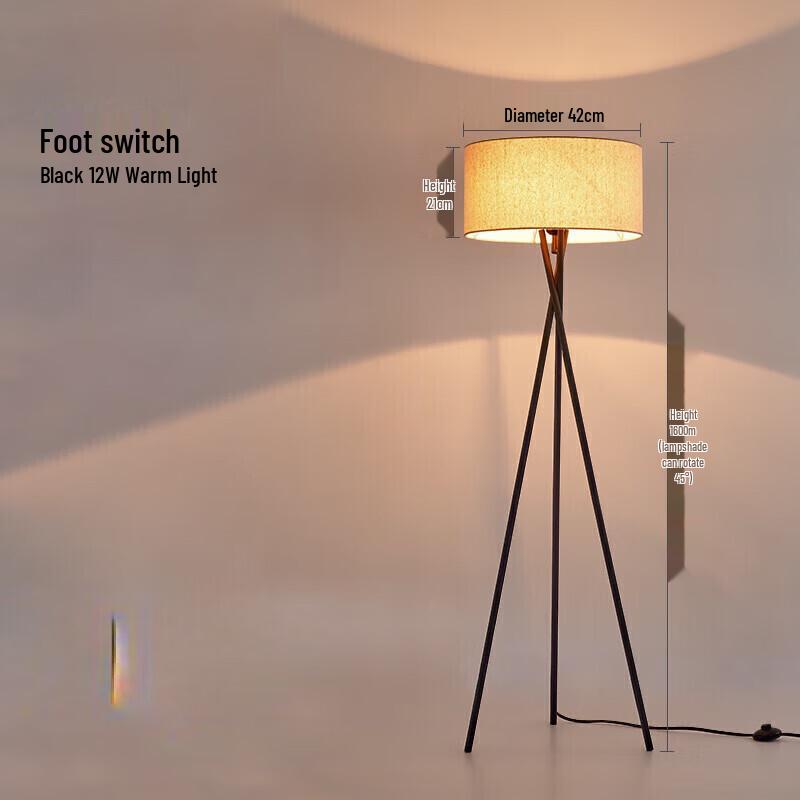Nu Feng Black 12W Warm Light Corner Floor Lamp