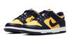 Nike Dunk Low Michigan 2021/2024 GS CW1590-700