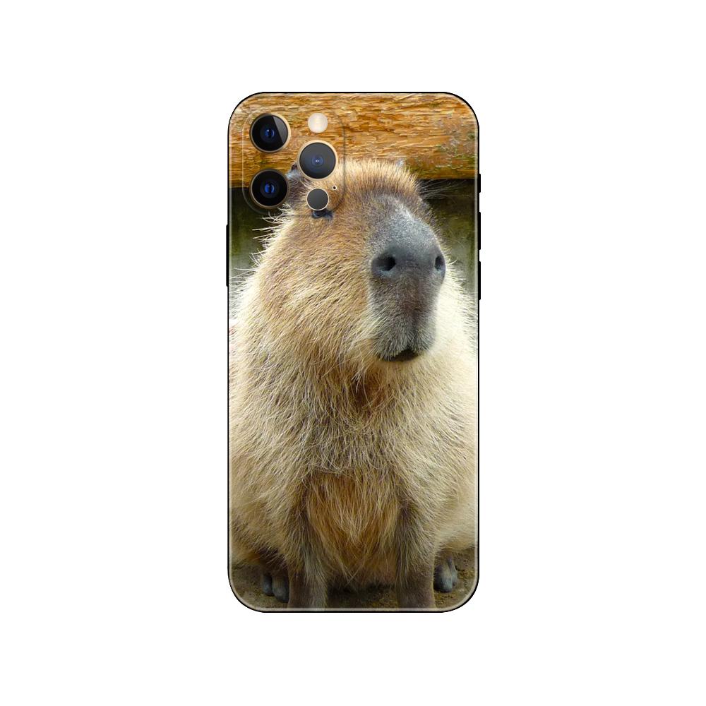 Capybara pouzdro na telefon pro iPhone 5 5s 2020se 6 6s 7 8 plus x 10 XR XS 11 12 13 mini pro MAX černý zadní kryt TPU