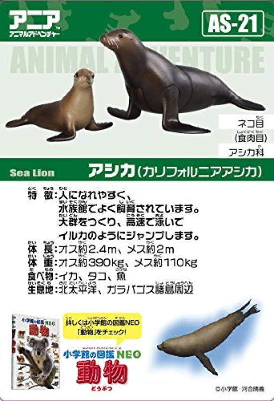 Takara Tomy "Ania AS-21 Sea Lion" Animal Dinosaur Realistic Moving Figure Toy Ages 3+ Meets Toy Safety Standards ST Mark ANIA TAKARA TOMY