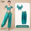 Costume de Danse du Ventre Exotique Princesse Jasmine d'Halloween pour Adultes