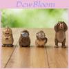 Hoppers Pvc Raccoon Transformation Series Collectible Figurines For Kids And Teens