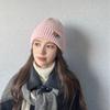 Autumn and Winter Hats for Women's New Korean Knitted Hats Versatile Warm Ear Protection and Thickened Fashionable Wool Hats