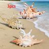 3PCS Seashell Hair Claw Clips Set Ocean Style Hair Accessories for Women Girls Hair Styling Hair Holder Hair Grip Hairpin Hair Claw