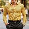 Chemise rayée essentielle pour homme à manches longues, idéale pour le bureau et le quotidien.