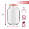 6X JAR 4L PRESERVATIONS LIQUEURS + LID fi100
