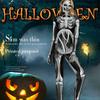 Fantasy Skeleton Adult Cosplay Costume With Polyester For Halloween Party