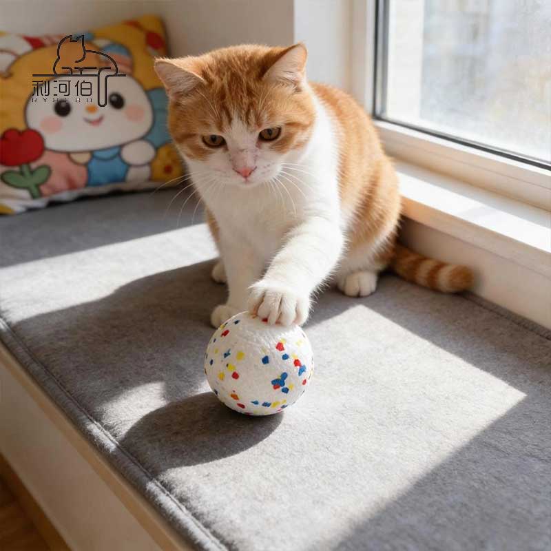 Solid Durable Pet Chew Toy Bite Resistant Floating Foam Throwing Interactive for Pet Training Pet Ball Rubber Pet Toy