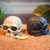 Amphibian Themed Aquarium Decorative Skull, ABS Resin, Reptile House Cave Decoration for Terrariums and Vivariums