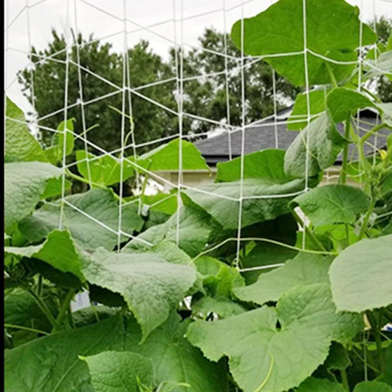 Garden Square Mesh Trellis Netting Polyester Plant Climbing Support Net For Outdoor Vegetables Fruits Vines Grow Tent Climber Holder