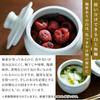 Yamanaka Pottery Zelkova Kiln Jar with Lid (White - 180ml) / Japanese Pottery Jar, Storage Container, Canister / Made In Japan, Takada Ware, Handmade,