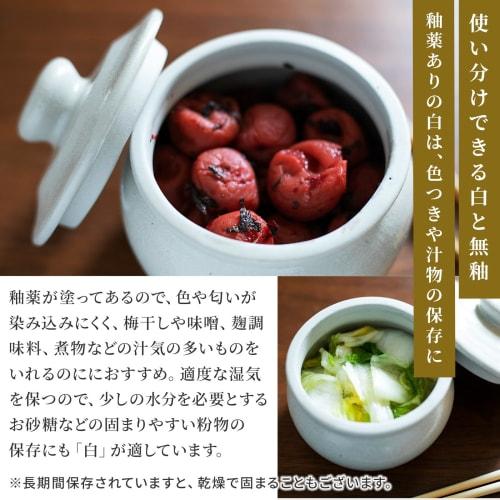 Yamanaka Pottery Zelkova Kiln Jar with Lid (White - 180ml) / Japanese Pottery Jar, Storage Container, Canister / Made In Japan, Takada Ware, Handmade,