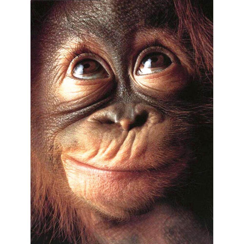 5D DIY Diamond Painting Full Drill Square Round Doll Elves Rhinestones Cross Stitch Diamond Embroidery Landscape Animal Mosaic Sale Home Decor