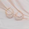Inside Crystal Metal Mesh Hoop Earrings for Women Wedding Party European Vintage Round Statement Dangle Earrings Jewelry