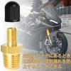 Tire Air Valve, American Air Valve, Brass Air Valve Tank Adapter Kit, 1/4 NPT,