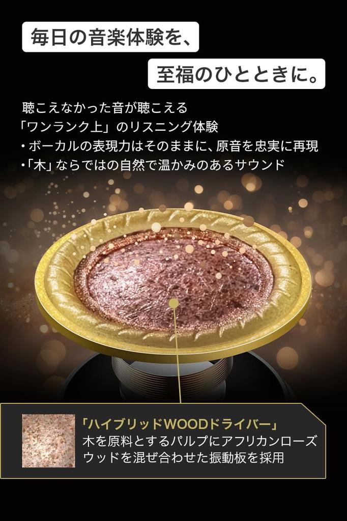JVC Kenwood Victor WOOD master Wireless Earphones, Bluetooth Ver. 6.0, Noise Cancelling, High-Resolution Audio, Multipoint, Microphone, Waterproof, Lo