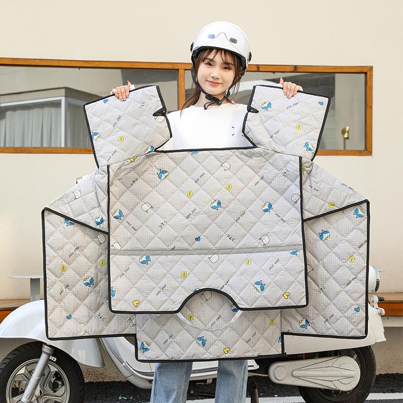 Windschutzscheibe für Elektrofahrrad: Sommer-Sonnenschutz, Sonnenschutzmittel, Winddicht, Doppelseitige wasserdichte Steppdecke für Frühling & Herbst.