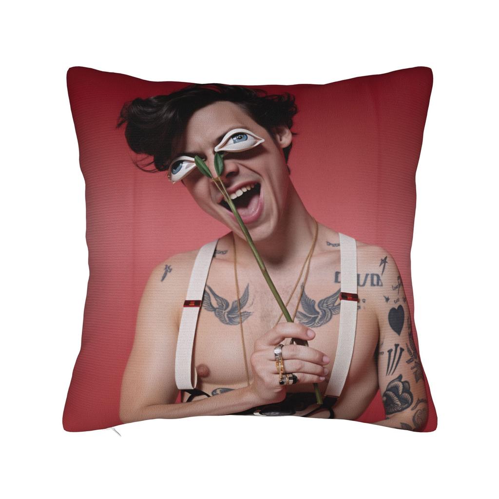 Singer H-Harrys S-Styles  Pillow Cover  Custom Cushion Cover Kawaii Pillow Case For Chair Sofa Home Decor