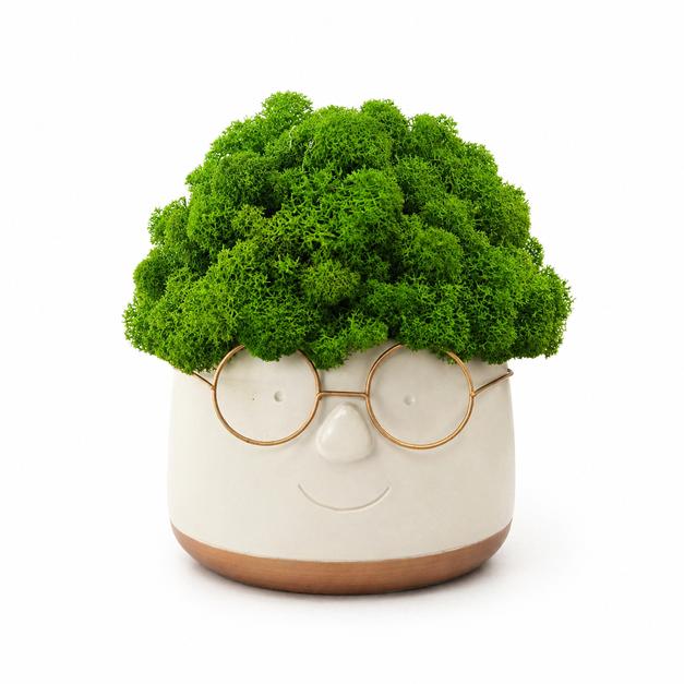 Large flowerpot with glasses, decorated with moss