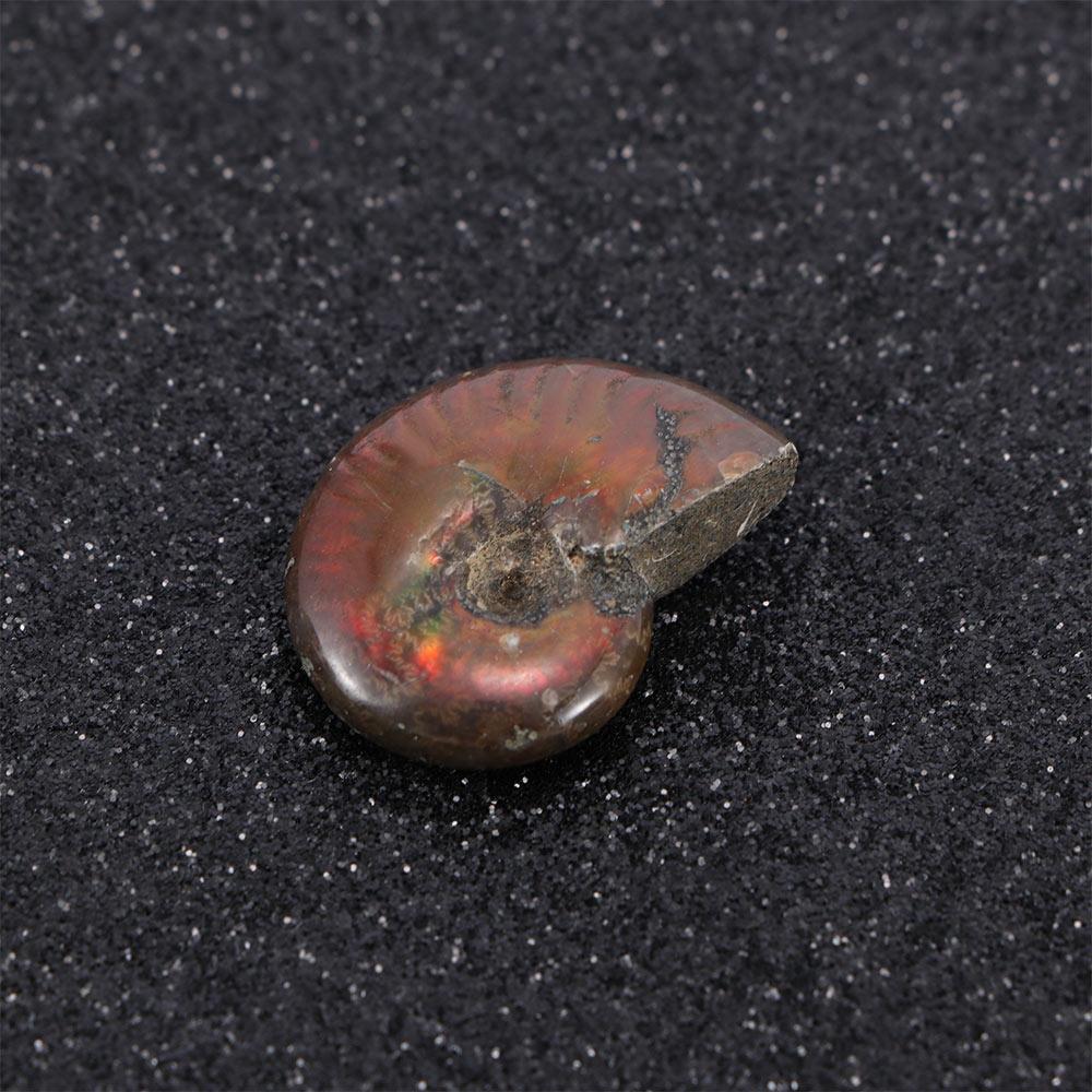Luck Mascot Madagascar Stone Collectibles Iridescent Specimen Natural Ammonite