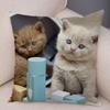 Federa per cuscino decorativo Blu British Shorthair con stampa in peluche corto per decorazione divano soggiorno Federe per cuscini