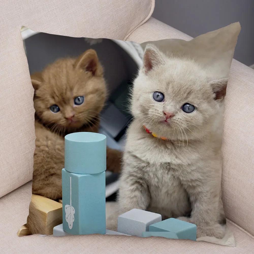 Federa per cuscino decorativo Blu British Shorthair con stampa in peluche corto per decorazione divano soggiorno Federe per cuscini