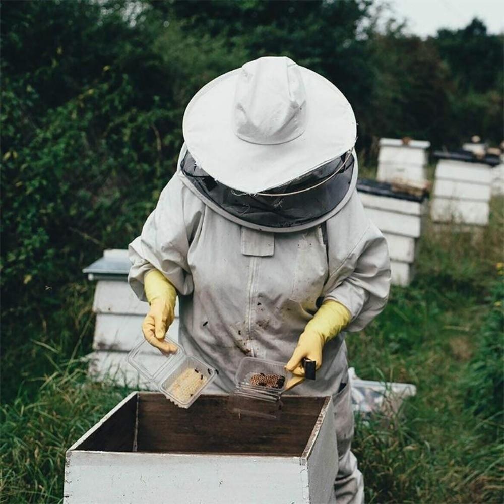 Professional Beekeeping Suit Jumpsuit Anti-Bee Bee Repellent Clothing  Beekeeping Equipment