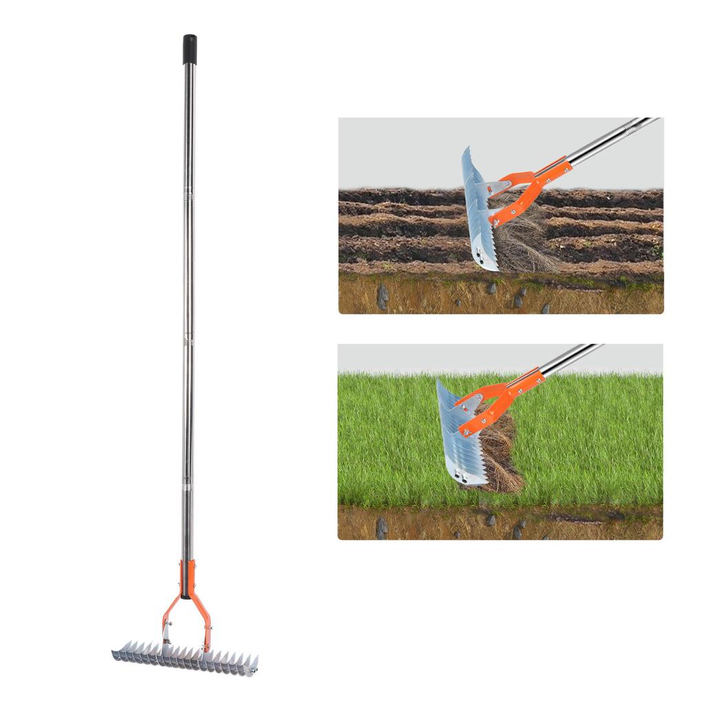 Thatch Rake 14.7 Inch Carbon Steel Stainless Steel Robust Lawn Dethatcher Rake with Handle for Clning Dd Grass Yard Garden