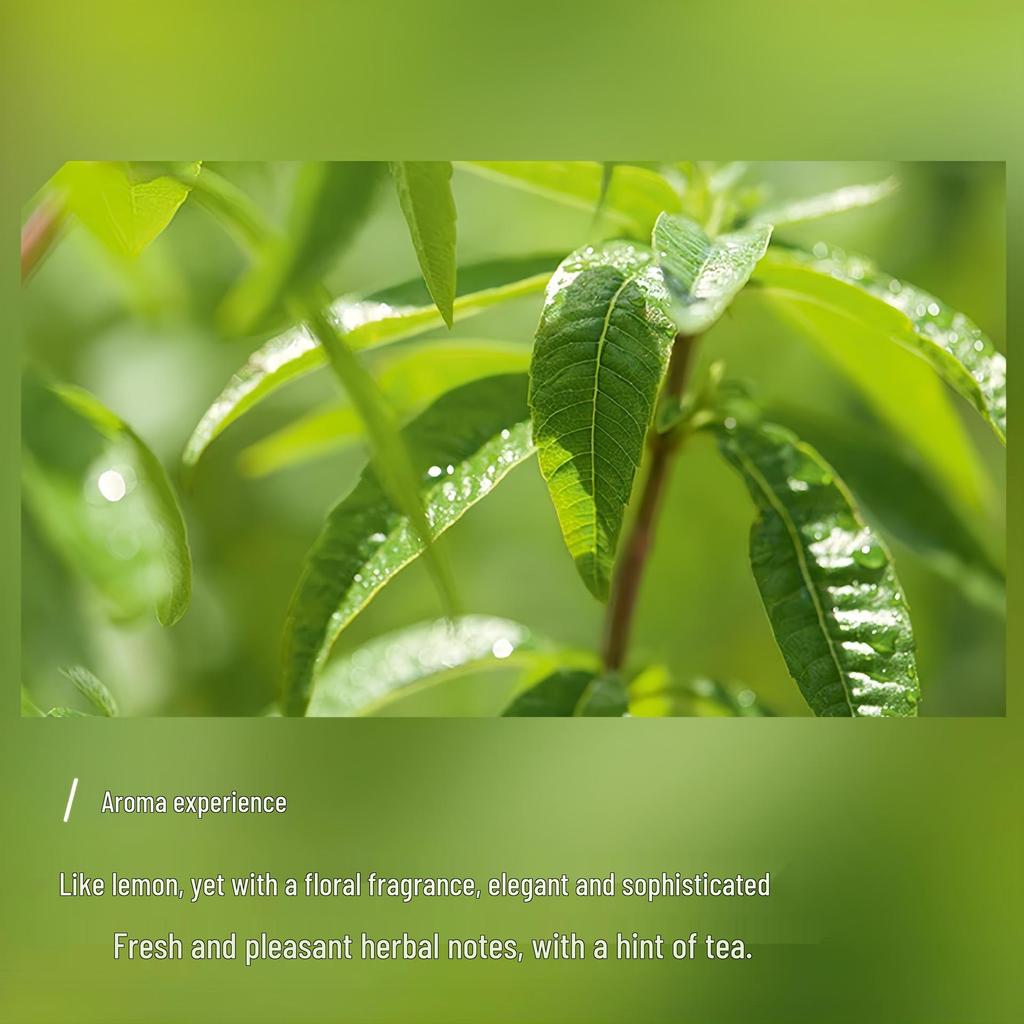 Moroccan Lemon Verbena Essential Oil Facial Serum for Aromatherapy and Moisturizing