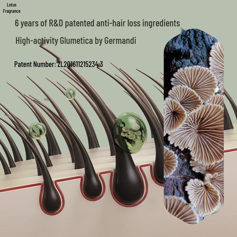 Hé Xīn Anti-Hair Loss & Hair Growth Shampoo