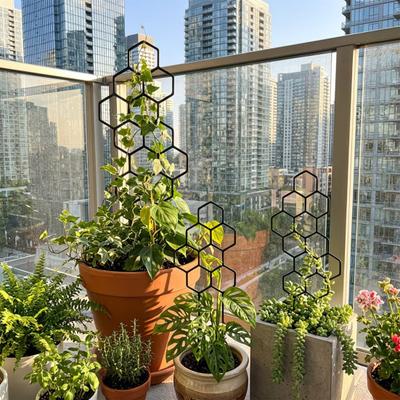 Potted Plants Trellis Honeycomb Shape Houseplant Trellis Plant Climber Support Garden Trellis for Climbing Plants Hoya Pothos