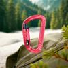 7075 Aviation Aluminum Safety Auto Lock Buckle D-shaped Electrophoresis Professional Carabiner Safe Multifunctional