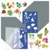 Cyanotype A5 with Board for Sun Printing, Sun Print for and Projects