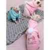 Hairless Cat Clothes Sphinx Winter Dog Hoodies For Small Medium Pets Cartoon Kittens Costumes Chihuahua Clothing Jacket Autumn