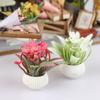 1/12 Casă de Păpuși Simulare Model Plante în Ghiveci Casă de Păpuși Decor Acasă Ornamente Plante Micro Peisaj Accesorii Casă de Păpuși