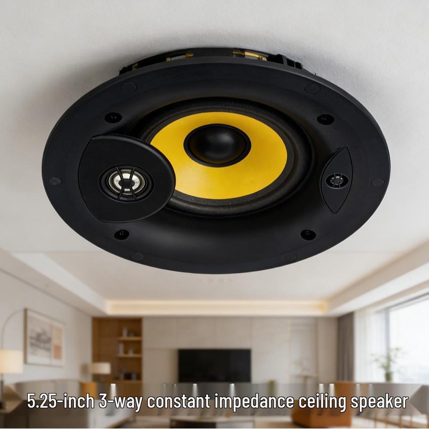 

Tianlai 5.25 30W Ceiling Speaker for Indoor Home Background Music 925