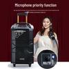 TEMEISHENG QX2-10 Outdoor Karaoke Trolley Speaker CN Plug (adapter Included) (CN Version)