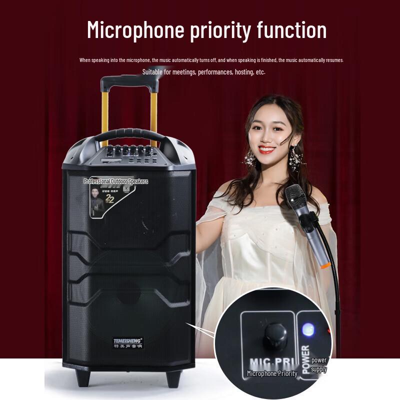 TEMEISHENG QX2-10 Outdoor Karaoke Trolley Speaker CN Plug (adapter Included) (CN Version)