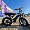 20 Inch Electric Mountain Bike 250W Fat Tire E Bike Adults Off Road Dirt Ebike Pedal Assist 48V EU Warehouse Electric Bicycle