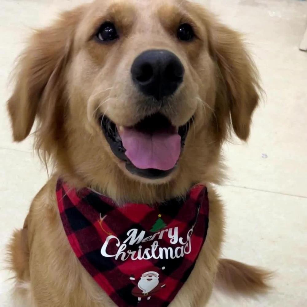 Christmas Dog Bandana - Triangle Scarf with Santa Claus and Letter Graphic for Pet Holiday Parties