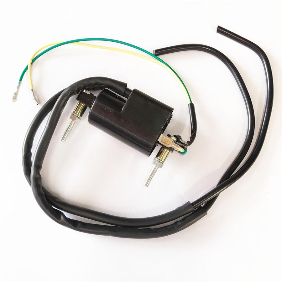 

It is a 12 Volt Dual Wire Ignition Coil