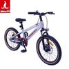 PHOENIX TT-20plus 20-inch Student Mountain Bike