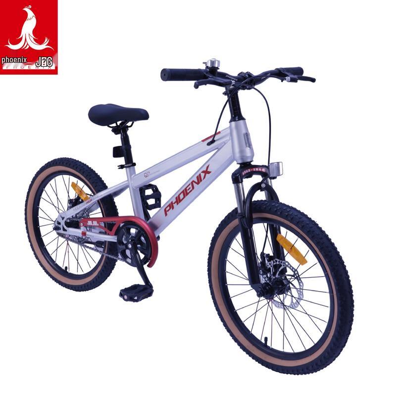 PHOENIX TT-20plus 20-inch Student Mountain Bike