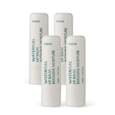 Waterful Moisture Lip Balm 4ea